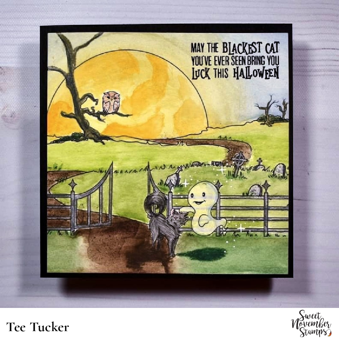 241329471_160183126273516_47453875191268572_n